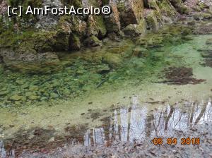 [P40] am crezut ca-i o balta dar sigur nu-i caci este prea frumoasa si erau pesti in ea; probabil un izvor mic » foto by Denisa13
 - 
<span class="allrVoted glyphicon glyphicon-heart hidden" id="av959497"></span>
<a class="m-l-10 hidden" id="sv959497" onclick="voting_Foto_DelVot(,959497,3939)" role="button">șterge vot <span class="glyphicon glyphicon-remove"></span></a>
<a id="v9959497" class=" c-red"  onclick="voting_Foto_SetVot(959497)" role="button"><span class="glyphicon glyphicon-heart-empty"></span> <b>LIKE</b> = Votează poza</a> <img class="hidden"  id="f959497W9" src="/imagini/loader.gif" border="0" /><span class="AjErrMes hidden" id="e959497ErM"></span>