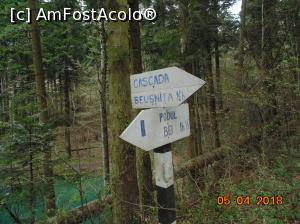 [P41]  -- <small>// FĂRĂ DESCRIERE</small> » foto by Denisa13
 - 
<span class="allrVoted glyphicon glyphicon-heart hidden" id="av959498"></span>
<a class="m-l-10 hidden" id="sv959498" onclick="voting_Foto_DelVot(,959498,3939)" role="button">șterge vot <span class="glyphicon glyphicon-remove"></span></a>
<a id="v9959498" class=" c-red"  onclick="voting_Foto_SetVot(959498)" role="button"><span class="glyphicon glyphicon-heart-empty"></span> <b>LIKE</b> = Votează poza</a> <img class="hidden"  id="f959498W9" src="/imagini/loader.gif" border="0" /><span class="AjErrMes hidden" id="e959498ErM"></span>