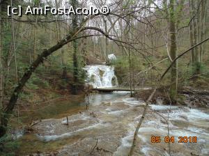 [P42]  -- <small>// FĂRĂ DESCRIERE</small> » foto by Denisa13
 - 
<span class="allrVoted glyphicon glyphicon-heart hidden" id="av959499"></span>
<a class="m-l-10 hidden" id="sv959499" onclick="voting_Foto_DelVot(,959499,3939)" role="button">șterge vot <span class="glyphicon glyphicon-remove"></span></a>
<a id="v9959499" class=" c-red"  onclick="voting_Foto_SetVot(959499)" role="button"><span class="glyphicon glyphicon-heart-empty"></span> <b>LIKE</b> = Votează poza</a> <img class="hidden"  id="f959499W9" src="/imagini/loader.gif" border="0" /><span class="AjErrMes hidden" id="e959499ErM"></span>