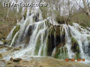 [P44]  -- <small>// FĂRĂ DESCRIERE</small> » foto by Denisa13
 - 
<span class="allrVoted glyphicon glyphicon-heart hidden" id="av959501"></span>
<a class="m-l-10 hidden" id="sv959501" onclick="voting_Foto_DelVot(,959501,3939)" role="button">șterge vot <span class="glyphicon glyphicon-remove"></span></a>
<a id="v9959501" class=" c-red"  onclick="voting_Foto_SetVot(959501)" role="button"><span class="glyphicon glyphicon-heart-empty"></span> <b>LIKE</b> = Votează poza</a> <img class="hidden"  id="f959501W9" src="/imagini/loader.gif" border="0" /><span class="AjErrMes hidden" id="e959501ErM"></span>