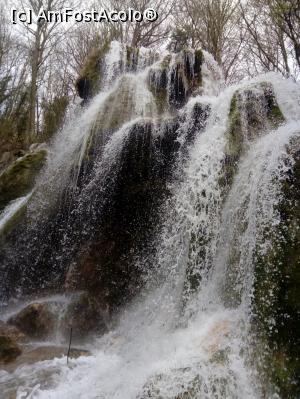 [P49]  -- <small>// FĂRĂ DESCRIERE</small> » foto by Denisa13
 - 
<span class="allrVoted glyphicon glyphicon-heart hidden" id="av959521"></span>
<a class="m-l-10 hidden" id="sv959521" onclick="voting_Foto_DelVot(,959521,3939)" role="button">șterge vot <span class="glyphicon glyphicon-remove"></span></a>
<a id="v9959521" class=" c-red"  onclick="voting_Foto_SetVot(959521)" role="button"><span class="glyphicon glyphicon-heart-empty"></span> <b>LIKE</b> = Votează poza</a> <img class="hidden"  id="f959521W9" src="/imagini/loader.gif" border="0" /><span class="AjErrMes hidden" id="e959521ErM"></span>