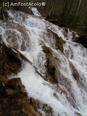 [P51]  -- <small>// FĂRĂ DESCRIERE</small> » foto by Denisa13
 - 
<span class="allrVoted glyphicon glyphicon-heart hidden" id="av959528"></span>
<a class="m-l-10 hidden" id="sv959528" onclick="voting_Foto_DelVot(,959528,3939)" role="button">șterge vot <span class="glyphicon glyphicon-remove"></span></a>
<a id="v9959528" class=" c-red"  onclick="voting_Foto_SetVot(959528)" role="button"><span class="glyphicon glyphicon-heart-empty"></span> <b>LIKE</b> = Votează poza</a> <img class="hidden"  id="f959528W9" src="/imagini/loader.gif" border="0" /><span class="AjErrMes hidden" id="e959528ErM"></span>