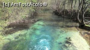 [P52]  -- <small>// FĂRĂ DESCRIERE</small> » foto by Denisa13
 - 
<span class="allrVoted glyphicon glyphicon-heart hidden" id="av959532"></span>
<a class="m-l-10 hidden" id="sv959532" onclick="voting_Foto_DelVot(,959532,3939)" role="button">șterge vot <span class="glyphicon glyphicon-remove"></span></a>
<a id="v9959532" class=" c-red"  onclick="voting_Foto_SetVot(959532)" role="button"><span class="glyphicon glyphicon-heart-empty"></span> <b>LIKE</b> = Votează poza</a> <img class="hidden"  id="f959532W9" src="/imagini/loader.gif" border="0" /><span class="AjErrMes hidden" id="e959532ErM"></span>