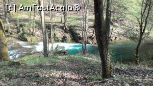 [P55]  -- <small>// FĂRĂ DESCRIERE</small> » foto by Denisa13
 - 
<span class="allrVoted glyphicon glyphicon-heart hidden" id="av959538"></span>
<a class="m-l-10 hidden" id="sv959538" onclick="voting_Foto_DelVot(,959538,3939)" role="button">șterge vot <span class="glyphicon glyphicon-remove"></span></a>
<a id="v9959538" class=" c-red"  onclick="voting_Foto_SetVot(959538)" role="button"><span class="glyphicon glyphicon-heart-empty"></span> <b>LIKE</b> = Votează poza</a> <img class="hidden"  id="f959538W9" src="/imagini/loader.gif" border="0" /><span class="AjErrMes hidden" id="e959538ErM"></span>