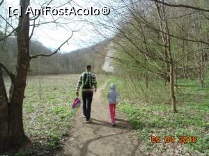 [P56] poiana Beusnita » foto by Denisa13
 - 
<span class="allrVoted glyphicon glyphicon-heart hidden" id="av959635"></span>
<a class="m-l-10 hidden" id="sv959635" onclick="voting_Foto_DelVot(,959635,3939)" role="button">șterge vot <span class="glyphicon glyphicon-remove"></span></a>
<a id="v9959635" class=" c-red"  onclick="voting_Foto_SetVot(959635)" role="button"><span class="glyphicon glyphicon-heart-empty"></span> <b>LIKE</b> = Votează poza</a> <img class="hidden"  id="f959635W9" src="/imagini/loader.gif" border="0" /><span class="AjErrMes hidden" id="e959635ErM"></span>