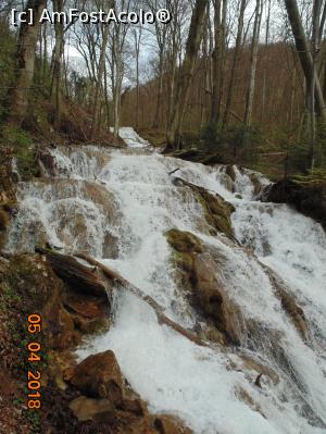 [P57]  -- <small>// FĂRĂ DESCRIERE</small> » foto by Denisa13
 - 
<span class="allrVoted glyphicon glyphicon-heart hidden" id="av959636"></span>
<a class="m-l-10 hidden" id="sv959636" onclick="voting_Foto_DelVot(,959636,3939)" role="button">șterge vot <span class="glyphicon glyphicon-remove"></span></a>
<a id="v9959636" class=" c-red"  onclick="voting_Foto_SetVot(959636)" role="button"><span class="glyphicon glyphicon-heart-empty"></span> <b>LIKE</b> = Votează poza</a> <img class="hidden"  id="f959636W9" src="/imagini/loader.gif" border="0" /><span class="AjErrMes hidden" id="e959636ErM"></span>