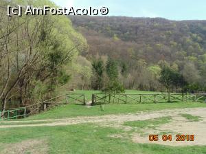 [P59] locul de campare de la pastravarie » foto by Denisa13
 - 
<span class="allrVoted glyphicon glyphicon-heart hidden" id="av959638"></span>
<a class="m-l-10 hidden" id="sv959638" onclick="voting_Foto_DelVot(,959638,3939)" role="button">șterge vot <span class="glyphicon glyphicon-remove"></span></a>
<a id="v9959638" class=" c-red"  onclick="voting_Foto_SetVot(959638)" role="button"><span class="glyphicon glyphicon-heart-empty"></span> <b>LIKE</b> = Votează poza</a> <img class="hidden"  id="f959638W9" src="/imagini/loader.gif" border="0" /><span class="AjErrMes hidden" id="e959638ErM"></span>