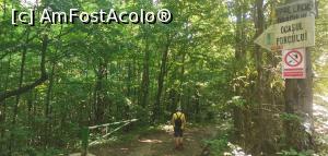 [P01] Intrare pe traseul Cheile Nerei, prin Ogașul Porcului » foto by Aurici
 - 
<span class="allrVoted glyphicon glyphicon-heart hidden" id="av1186660"></span>
<a class="m-l-10 hidden" id="sv1186660" onclick="voting_Foto_DelVot(,1186660,3939)" role="button">șterge vot <span class="glyphicon glyphicon-remove"></span></a>
<a id="v91186660" class=" c-red"  onclick="voting_Foto_SetVot(1186660)" role="button"><span class="glyphicon glyphicon-heart-empty"></span> <b>LIKE</b> = Votează poza</a> <img class="hidden"  id="f1186660W9" src="/imagini/loader.gif" border="0" /><span class="AjErrMes hidden" id="e1186660ErM"></span>