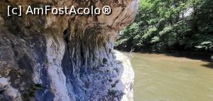 [P14] Noi le spunem foeroage, nu știu dacă este o denumire corectă. » foto by Aurici
 - 
<span class="allrVoted glyphicon glyphicon-heart hidden" id="av1186673"></span>
<a class="m-l-10 hidden" id="sv1186673" onclick="voting_Foto_DelVot(,1186673,3939)" role="button">șterge vot <span class="glyphicon glyphicon-remove"></span></a>
<a id="v91186673" class=" c-red"  onclick="voting_Foto_SetVot(1186673)" role="button"><span class="glyphicon glyphicon-heart-empty"></span> <b>LIKE</b> = Votează poza</a> <img class="hidden"  id="f1186673W9" src="/imagini/loader.gif" border="0" /><span class="AjErrMes hidden" id="e1186673ErM"></span>