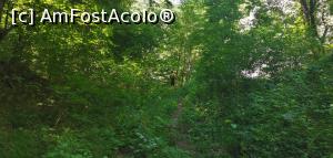 [P16] Din nou prin pădure... » foto by Aurici
 - 
<span class="allrVoted glyphicon glyphicon-heart hidden" id="av1186675"></span>
<a class="m-l-10 hidden" id="sv1186675" onclick="voting_Foto_DelVot(,1186675,3939)" role="button">șterge vot <span class="glyphicon glyphicon-remove"></span></a>
<a id="v91186675" class=" c-red"  onclick="voting_Foto_SetVot(1186675)" role="button"><span class="glyphicon glyphicon-heart-empty"></span> <b>LIKE</b> = Votează poza</a> <img class="hidden"  id="f1186675W9" src="/imagini/loader.gif" border="0" /><span class="AjErrMes hidden" id="e1186675ErM"></span>