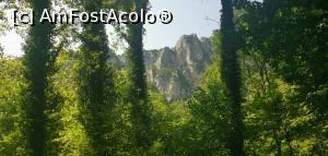 [P24] Peisaj prin Cheile Nerei. » foto by Aurici
 - 
<span class="allrVoted glyphicon glyphicon-heart hidden" id="av1186685"></span>
<a class="m-l-10 hidden" id="sv1186685" onclick="voting_Foto_DelVot(,1186685,3939)" role="button">șterge vot <span class="glyphicon glyphicon-remove"></span></a>
<a id="v91186685" class=" c-red"  onclick="voting_Foto_SetVot(1186685)" role="button"><span class="glyphicon glyphicon-heart-empty"></span> <b>LIKE</b> = Votează poza</a> <img class="hidden"  id="f1186685W9" src="/imagini/loader.gif" border="0" /><span class="AjErrMes hidden" id="e1186685ErM"></span>