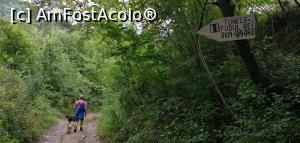 [P25] Spre Valea Beu-ului, prin tunele, cu c&acirc;inii de la pensiune după noi. » foto by Aurici
 - 
<span class="allrVoted glyphicon glyphicon-heart hidden" id="av1186686"></span>
<a class="m-l-10 hidden" id="sv1186686" onclick="voting_Foto_DelVot(,1186686,3939)" role="button">șterge vot <span class="glyphicon glyphicon-remove"></span></a>
<a id="v91186686" class=" c-red"  onclick="voting_Foto_SetVot(1186686)" role="button"><span class="glyphicon glyphicon-heart-empty"></span> <b>LIKE</b> = Votează poza</a> <img class="hidden"  id="f1186686W9" src="/imagini/loader.gif" border="0" /><span class="AjErrMes hidden" id="e1186686ErM"></span>