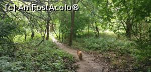 [P29] Și Gigel conștiincios, spre tunele. » foto by Aurici
 - 
<span class="allrVoted glyphicon glyphicon-heart hidden" id="av1186691"></span>
<a class="m-l-10 hidden" id="sv1186691" onclick="voting_Foto_DelVot(,1186691,3939)" role="button">șterge vot <span class="glyphicon glyphicon-remove"></span></a>
<a id="v91186691" class=" c-red"  onclick="voting_Foto_SetVot(1186691)" role="button"><span class="glyphicon glyphicon-heart-empty"></span> <b>LIKE</b> = Votează poza</a> <img class="hidden"  id="f1186691W9" src="/imagini/loader.gif" border="0" /><span class="AjErrMes hidden" id="e1186691ErM"></span>