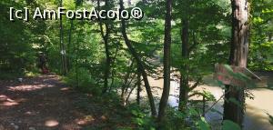 [P05] Spre Izvorul Iordanului 60 de m. » foto by Aurici
 - 
<span class="allrVoted glyphicon glyphicon-heart hidden" id="av1186664"></span>
<a class="m-l-10 hidden" id="sv1186664" onclick="voting_Foto_DelVot(,1186664,3939)" role="button">șterge vot <span class="glyphicon glyphicon-remove"></span></a>
<a id="v91186664" class=" c-red"  onclick="voting_Foto_SetVot(1186664)" role="button"><span class="glyphicon glyphicon-heart-empty"></span> <b>LIKE</b> = Votează poza</a> <img class="hidden"  id="f1186664W9" src="/imagini/loader.gif" border="0" /><span class="AjErrMes hidden" id="e1186664ErM"></span>