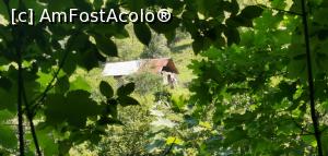 [P06] Poiana lui Vogiun, loc de campare. Vedere peste Nera, de la Izvorul Iordanului. » foto by Aurici
 - 
<span class="allrVoted glyphicon glyphicon-heart hidden" id="av1186665"></span>
<a class="m-l-10 hidden" id="sv1186665" onclick="voting_Foto_DelVot(,1186665,3939)" role="button">șterge vot <span class="glyphicon glyphicon-remove"></span></a>
<a id="v91186665" class=" c-red"  onclick="voting_Foto_SetVot(1186665)" role="button"><span class="glyphicon glyphicon-heart-empty"></span> <b>LIKE</b> = Votează poza</a> <img class="hidden"  id="f1186665W9" src="/imagini/loader.gif" border="0" /><span class="AjErrMes hidden" id="e1186665ErM"></span>