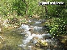 [P18] Apoi se rasfira in mai multe firicele de apa si se varsa in Nera » foto by dorgo
 - 
<span class="allrVoted glyphicon glyphicon-heart hidden" id="av162118"></span>
<a class="m-l-10 hidden" id="sv162118" onclick="voting_Foto_DelVot(,162118,3939)" role="button">șterge vot <span class="glyphicon glyphicon-remove"></span></a>
<a id="v9162118" class=" c-red"  onclick="voting_Foto_SetVot(162118)" role="button"><span class="glyphicon glyphicon-heart-empty"></span> <b>LIKE</b> = Votează poza</a> <img class="hidden"  id="f162118W9" src="/imagini/loader.gif" border="0" /><span class="AjErrMes hidden" id="e162118ErM"></span>