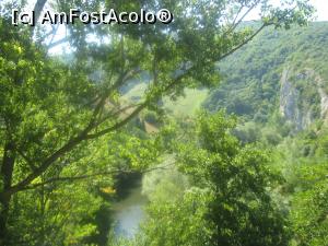 [P10] Valea Nerei » foto by dorgo
 - 
<span class="allrVoted glyphicon glyphicon-heart hidden" id="av941875"></span>
<a class="m-l-10 hidden" id="sv941875" onclick="voting_Foto_DelVot(,941875,3939)" role="button">șterge vot <span class="glyphicon glyphicon-remove"></span></a>
<a id="v9941875" class=" c-red"  onclick="voting_Foto_SetVot(941875)" role="button"><span class="glyphicon glyphicon-heart-empty"></span> <b>LIKE</b> = Votează poza</a> <img class="hidden"  id="f941875W9" src="/imagini/loader.gif" border="0" /><span class="AjErrMes hidden" id="e941875ErM"></span>