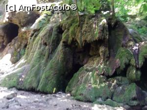 [P15] Cascada Beusnita, intr-un an secetos (2017)  » foto by dorgo
 - 
<span class="allrVoted glyphicon glyphicon-heart hidden" id="av941880"></span>
<a class="m-l-10 hidden" id="sv941880" onclick="voting_Foto_DelVot(,941880,3939)" role="button">șterge vot <span class="glyphicon glyphicon-remove"></span></a>
<a id="v9941880" class=" c-red"  onclick="voting_Foto_SetVot(941880)" role="button"><span class="glyphicon glyphicon-heart-empty"></span> <b>LIKE</b> = Votează poza</a> <img class="hidden"  id="f941880W9" src="/imagini/loader.gif" border="0" /><span class="AjErrMes hidden" id="e941880ErM"></span>