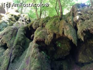 [P16] Cascada Beusnita, intr-un an secetos (2017)  » foto by dorgo
 - 
<span class="allrVoted glyphicon glyphicon-heart hidden" id="av941881"></span>
<a class="m-l-10 hidden" id="sv941881" onclick="voting_Foto_DelVot(,941881,3939)" role="button">șterge vot <span class="glyphicon glyphicon-remove"></span></a>
<a id="v9941881" class=" c-red"  onclick="voting_Foto_SetVot(941881)" role="button"><span class="glyphicon glyphicon-heart-empty"></span> <b>LIKE</b> = Votează poza</a> <img class="hidden"  id="f941881W9" src="/imagini/loader.gif" border="0" /><span class="AjErrMes hidden" id="e941881ErM"></span>