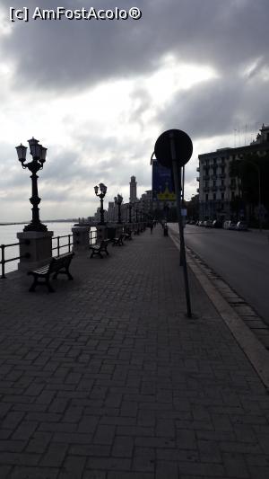 [P76] Bari duminica dimineata » foto by Chloe
 - 
<span class="allrVoted glyphicon glyphicon-heart hidden" id="av803735"></span>
<a class="m-l-10 hidden" id="sv803735" onclick="voting_Foto_DelVot(,803735,3993)" role="button">șterge vot <span class="glyphicon glyphicon-remove"></span></a>
<a id="v9803735" class=" c-red"  onclick="voting_Foto_SetVot(803735)" role="button"><span class="glyphicon glyphicon-heart-empty"></span> <b>LIKE</b> = Votează poza</a> <img class="hidden"  id="f803735W9" src="/imagini/loader.gif" border="0" /><span class="AjErrMes hidden" id="e803735ErM"></span>