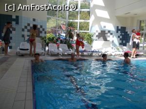 [P11] Balaceala e-n toi (sau 'intre doua, nu te ploua')  » foto by dorgo
 - 
<span class="allrVoted glyphicon glyphicon-heart hidden" id="av780293"></span>
<a class="m-l-10 hidden" id="sv780293" onclick="voting_Foto_DelVot(,780293,3998)" role="button">șterge vot <span class="glyphicon glyphicon-remove"></span></a>
<a id="v9780293" class=" c-red"  onclick="voting_Foto_SetVot(780293)" role="button"><span class="glyphicon glyphicon-heart-empty"></span> <b>LIKE</b> = Votează poza</a> <img class="hidden"  id="f780293W9" src="/imagini/loader.gif" border="0" /><span class="AjErrMes hidden" id="e780293ErM"></span>