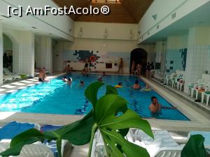 [P05] Bazinul de inot » foto by dorgo
 - 
<span class="allrVoted glyphicon glyphicon-heart hidden" id="av780287"></span>
<a class="m-l-10 hidden" id="sv780287" onclick="voting_Foto_DelVot(,780287,3998)" role="button">șterge vot <span class="glyphicon glyphicon-remove"></span></a>
<a id="v9780287" class=" c-red"  onclick="voting_Foto_SetVot(780287)" role="button"><span class="glyphicon glyphicon-heart-empty"></span> <b>LIKE</b> = Votează poza</a> <img class="hidden"  id="f780287W9" src="/imagini/loader.gif" border="0" /><span class="AjErrMes hidden" id="e780287ErM"></span>