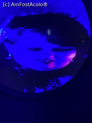 [P03] Asa mă vede un calcan! Hi, hi, hi... » foto by Floria
 - 
<span class="allrVoted glyphicon glyphicon-heart hidden" id="av1523721"></span>
<a class="m-l-10 hidden" id="sv1523721" onclick="voting_Foto_DelVot(,1523721,4001)" role="button">șterge vot <span class="glyphicon glyphicon-remove"></span></a>
<a id="v91523721" class=" c-red"  onclick="voting_Foto_SetVot(1523721)" role="button"><span class="glyphicon glyphicon-heart-empty"></span> <b>LIKE</b> = Votează poza</a> <img class="hidden"  id="f1523721W9" src="/imagini/loader.gif" border="0" /><span class="AjErrMes hidden" id="e1523721ErM"></span>