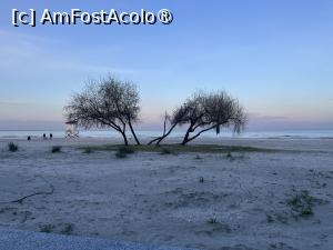 [P03] Marea Neagră la Mamaia Nord » foto by Yersinia Pestis
 - 
<span class="allrVoted glyphicon glyphicon-heart hidden" id="av1526368"></span>
<a class="m-l-10 hidden" id="sv1526368" onclick="voting_Foto_DelVot(,1526368,4001)" role="button">șterge vot <span class="glyphicon glyphicon-remove"></span></a>
<a id="v91526368" class=" c-red"  onclick="voting_Foto_SetVot(1526368)" role="button"><span class="glyphicon glyphicon-heart-empty"></span> <b>LIKE</b> = Votează poza</a> <img class="hidden"  id="f1526368W9" src="/imagini/loader.gif" border="0" /><span class="AjErrMes hidden" id="e1526368ErM"></span>