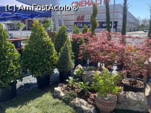 [P09] Constanța.25.04.2026 -  Piața de Flori » foto by Yersinia Pestis
 - 
<span class="allrVoted glyphicon glyphicon-heart hidden" id="av1526374"></span>
<a class="m-l-10 hidden" id="sv1526374" onclick="voting_Foto_DelVot(,1526374,4001)" role="button">șterge vot <span class="glyphicon glyphicon-remove"></span></a>
<a id="v91526374" class=" c-red"  onclick="voting_Foto_SetVot(1526374)" role="button"><span class="glyphicon glyphicon-heart-empty"></span> <b>LIKE</b> = Votează poza</a> <img class="hidden"  id="f1526374W9" src="/imagini/loader.gif" border="0" /><span class="AjErrMes hidden" id="e1526374ErM"></span>