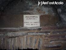 [P26] Cuptorul imens al manastirii .In timpul razboaielor a copt mii de paini » foto by david
 - 
<span class="allrVoted glyphicon glyphicon-heart hidden" id="av172767"></span>
<a class="m-l-10 hidden" id="sv172767" onclick="voting_Foto_DelVot(,172767,4002)" role="button">șterge vot <span class="glyphicon glyphicon-remove"></span></a>
<a id="v9172767" class=" c-red"  onclick="voting_Foto_SetVot(172767)" role="button"><span class="glyphicon glyphicon-heart-empty"></span> <b>LIKE</b> = Votează poza</a> <img class="hidden"  id="f172767W9" src="/imagini/loader.gif" border="0" /><span class="AjErrMes hidden" id="e172767ErM"></span>