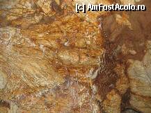 [P15] Pestera Ursilor- culori fantastice pe tavanul pesterii » foto by luciaoradea
 - 
<span class="allrVoted glyphicon glyphicon-heart hidden" id="av187896"></span>
<a class="m-l-10 hidden" id="sv187896" onclick="voting_Foto_DelVot(,187896,4024)" role="button">șterge vot <span class="glyphicon glyphicon-remove"></span></a>
<a id="v9187896" class=" c-red"  onclick="voting_Foto_SetVot(187896)" role="button"><span class="glyphicon glyphicon-heart-empty"></span> <b>LIKE</b> = Votează poza</a> <img class="hidden"  id="f187896W9" src="/imagini/loader.gif" border="0" /><span class="AjErrMes hidden" id="e187896ErM"></span>