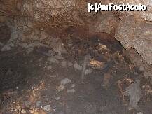 [P10] Minunile naturii - Pestera Ursilor, primele oase ale ursilor cavernelor te intampina chiar de la intrare » foto by danoradea
 - 
<span class="allrVoted glyphicon glyphicon-heart hidden" id="av249444"></span>
<a class="m-l-10 hidden" id="sv249444" onclick="voting_Foto_DelVot(,249444,4024)" role="button">șterge vot <span class="glyphicon glyphicon-remove"></span></a>
<a id="v9249444" class=" c-red"  onclick="voting_Foto_SetVot(249444)" role="button"><span class="glyphicon glyphicon-heart-empty"></span> <b>LIKE</b> = Votează poza</a> <img class="hidden"  id="f249444W9" src="/imagini/loader.gif" border="0" /><span class="AjErrMes hidden" id="e249444ErM"></span>
