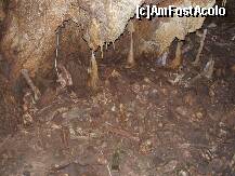 [P12] Minunile naturii - Pestera Ursilor, o parte din scheletele celor 140 de ursi ramasi captivi in pestera » foto by danoradea
 - 
<span class="allrVoted glyphicon glyphicon-heart hidden" id="av249446"></span>
<a class="m-l-10 hidden" id="sv249446" onclick="voting_Foto_DelVot(,249446,4024)" role="button">șterge vot <span class="glyphicon glyphicon-remove"></span></a>
<a id="v9249446" class=" c-red"  onclick="voting_Foto_SetVot(249446)" role="button"><span class="glyphicon glyphicon-heart-empty"></span> <b>LIKE</b> = Votează poza</a> <img class="hidden"  id="f249446W9" src="/imagini/loader.gif" border="0" /><span class="AjErrMes hidden" id="e249446ErM"></span>