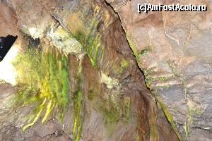 [P07] Peștera Urșilor. Ciuperca (verde) a cărei dezvoltare este favorizată de lumina alba.  » foto by ebirsan
 - 
<span class="allrVoted glyphicon glyphicon-heart hidden" id="av660026"></span>
<a class="m-l-10 hidden" id="sv660026" onclick="voting_Foto_DelVot(,660026,4024)" role="button">șterge vot <span class="glyphicon glyphicon-remove"></span></a>
<a id="v9660026" class=" c-red"  onclick="voting_Foto_SetVot(660026)" role="button"><span class="glyphicon glyphicon-heart-empty"></span> <b>LIKE</b> = Votează poza</a> <img class="hidden"  id="f660026W9" src="/imagini/loader.gif" border="0" /><span class="AjErrMes hidden" id="e660026ErM"></span>