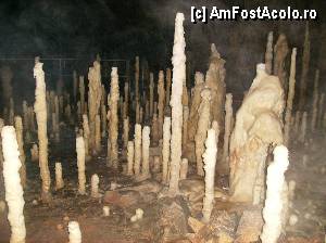 [P01] O fotografie din interiorul pesterii (stalagmite)  » foto by yuly68*
 - 
<span class="allrVoted glyphicon glyphicon-heart hidden" id="av386068"></span>
<a class="m-l-10 hidden" id="sv386068" onclick="voting_Foto_DelVot(,386068,4024)" role="button">șterge vot <span class="glyphicon glyphicon-remove"></span></a>
<a id="v9386068" class=" c-red"  onclick="voting_Foto_SetVot(386068)" role="button"><span class="glyphicon glyphicon-heart-empty"></span> <b>LIKE</b> = Votează poza</a> <img class="hidden"  id="f386068W9" src="/imagini/loader.gif" border="0" /><span class="AjErrMes hidden" id="e386068ErM"></span>