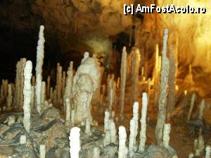[P11] Descoperind stalagmitele » foto by yuly68*
 - 
<span class="allrVoted glyphicon glyphicon-heart hidden" id="av386078"></span>
<a class="m-l-10 hidden" id="sv386078" onclick="voting_Foto_DelVot(,386078,4024)" role="button">șterge vot <span class="glyphicon glyphicon-remove"></span></a>
<a id="v9386078" class=" c-red"  onclick="voting_Foto_SetVot(386078)" role="button"><span class="glyphicon glyphicon-heart-empty"></span> <b>LIKE</b> = Votează poza</a> <img class="hidden"  id="f386078W9" src="/imagini/loader.gif" border="0" /><span class="AjErrMes hidden" id="e386078ErM"></span>