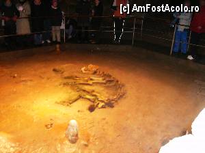 [P08] Osemintele ursului de caverna » foto by yuly68*
 - 
<span class="allrVoted glyphicon glyphicon-heart hidden" id="av386075"></span>
<a class="m-l-10 hidden" id="sv386075" onclick="voting_Foto_DelVot(,386075,4024)" role="button">șterge vot <span class="glyphicon glyphicon-remove"></span></a>
<a id="v9386075" class=" c-red"  onclick="voting_Foto_SetVot(386075)" role="button"><span class="glyphicon glyphicon-heart-empty"></span> <b>LIKE</b> = Votează poza</a> <img class="hidden"  id="f386075W9" src="/imagini/loader.gif" border="0" /><span class="AjErrMes hidden" id="e386075ErM"></span>