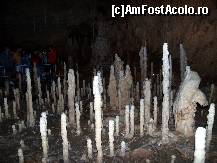 [P05] Formatiune de stalagmite din Galeria Lumanarilor » foto by pepsi70ro
 - 
<span class="allrVoted glyphicon glyphicon-heart hidden" id="av170693"></span>
<a class="m-l-10 hidden" id="sv170693" onclick="voting_Foto_DelVot(,170693,4024)" role="button">șterge vot <span class="glyphicon glyphicon-remove"></span></a>
<a id="v9170693" class=" c-red"  onclick="voting_Foto_SetVot(170693)" role="button"><span class="glyphicon glyphicon-heart-empty"></span> <b>LIKE</b> = Votează poza</a> <img class="hidden"  id="f170693W9" src="/imagini/loader.gif" border="0" /><span class="AjErrMes hidden" id="e170693ErM"></span>