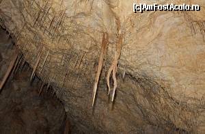 [P02] Micute stalactite subtirele » foto by mugur007 <span class="label label-default labelC_thin small">NEVOTABILĂ</span>