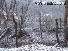 [P25] Padurea Neagra - balta aflata in satul de vacanta - oare o avea si peste...? » foto by danoradea
 - 
<span class="allrVoted glyphicon glyphicon-heart hidden" id="av31569"></span>
<a class="m-l-10 hidden" id="sv31569" onclick="voting_Foto_DelVot(,31569,4035)" role="button">șterge vot <span class="glyphicon glyphicon-remove"></span></a>
<a id="v931569" class=" c-red"  onclick="voting_Foto_SetVot(31569)" role="button"><span class="glyphicon glyphicon-heart-empty"></span> <b>LIKE</b> = Votează poza</a> <img class="hidden"  id="f31569W9" src="/imagini/loader.gif" border="0" /><span class="AjErrMes hidden" id="e31569ErM"></span>