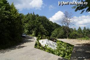 [P02] ..... apoi, după cca. 150m virati din nou la stânga pe drumul forestier pe care-l urmați cam 9km pana la o bifurcație foarte importanta fiindcă nu sunt indicatoare spre castel.  » foto by DANYBAKO
 - 
<span class="allrVoted glyphicon glyphicon-heart hidden" id="av660133"></span>
<a class="m-l-10 hidden" id="sv660133" onclick="voting_Foto_DelVot(,660133,4035)" role="button">șterge vot <span class="glyphicon glyphicon-remove"></span></a>
<a id="v9660133" class=" c-red"  onclick="voting_Foto_SetVot(660133)" role="button"><span class="glyphicon glyphicon-heart-empty"></span> <b>LIKE</b> = Votează poza</a> <img class="hidden"  id="f660133W9" src="/imagini/loader.gif" border="0" /><span class="AjErrMes hidden" id="e660133ErM"></span>