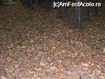 [P05] nu stiu daca am mai vazut vreodata atat de multe branduse » foto by danoradea
 - 
<span class="allrVoted glyphicon glyphicon-heart hidden" id="av31665"></span>
<a class="m-l-10 hidden" id="sv31665" onclick="voting_Foto_DelVot(,31665,4038)" role="button">șterge vot <span class="glyphicon glyphicon-remove"></span></a>
<a id="v931665" class=" c-red"  onclick="voting_Foto_SetVot(31665)" role="button"><span class="glyphicon glyphicon-heart-empty"></span> <b>LIKE</b> = Votează poza</a> <img class="hidden"  id="f31665W9" src="/imagini/loader.gif" border="0" /><span class="AjErrMes hidden" id="e31665ErM"></span>