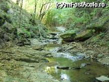 [P07] stand la umbra pe malul paraului » foto by danoradea
 - 
<span class="allrVoted glyphicon glyphicon-heart hidden" id="av31668"></span>
<a class="m-l-10 hidden" id="sv31668" onclick="voting_Foto_DelVot(,31668,4038)" role="button">șterge vot <span class="glyphicon glyphicon-remove"></span></a>
<a id="v931668" class=" c-red"  onclick="voting_Foto_SetVot(31668)" role="button"><span class="glyphicon glyphicon-heart-empty"></span> <b>LIKE</b> = Votează poza</a> <img class="hidden"  id="f31668W9" src="/imagini/loader.gif" border="0" /><span class="AjErrMes hidden" id="e31668ErM"></span>