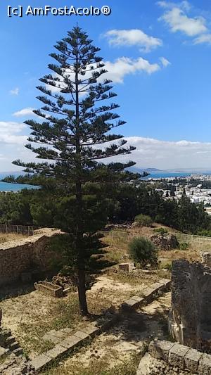 [P07]  -- <small>// FĂRĂ DESCRIERE</small> » foto by viorelgeorgescu
 - 
<span class="allrVoted glyphicon glyphicon-heart hidden" id="av1232776"></span>
<a class="m-l-10 hidden" id="sv1232776" onclick="voting_Foto_DelVot(,1232776,4040)" role="button">șterge vot <span class="glyphicon glyphicon-remove"></span></a>
<a id="v91232776" class=" c-red"  onclick="voting_Foto_SetVot(1232776)" role="button"><span class="glyphicon glyphicon-heart-empty"></span> <b>LIKE</b> = Votează poza</a> <img class="hidden"  id="f1232776W9" src="/imagini/loader.gif" border="0" /><span class="AjErrMes hidden" id="e1232776ErM"></span>