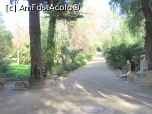 [P32] Alee principală &icirc;n situl arheologic Cartagina » foto by Michi
 - 
<span class="allrVoted glyphicon glyphicon-heart hidden" id="av1179172"></span>
<a class="m-l-10 hidden" id="sv1179172" onclick="voting_Foto_DelVot(,1179172,4040)" role="button">șterge vot <span class="glyphicon glyphicon-remove"></span></a>
<a id="v91179172" class=" c-red"  onclick="voting_Foto_SetVot(1179172)" role="button"><span class="glyphicon glyphicon-heart-empty"></span> <b>LIKE</b> = Votează poza</a> <img class="hidden"  id="f1179172W9" src="/imagini/loader.gif" border="0" /><span class="AjErrMes hidden" id="e1179172ErM"></span>