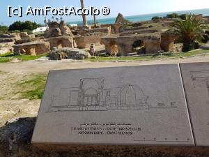 [P14]  -- <small>// FĂRĂ DESCRIERE</small> » foto by Sakiz*
 - 
<span class="allrVoted glyphicon glyphicon-heart hidden" id="av934582"></span>
<a class="m-l-10 hidden" id="sv934582" onclick="voting_Foto_DelVot(,934582,4040)" role="button">șterge vot <span class="glyphicon glyphicon-remove"></span></a>
<a id="v9934582" class=" c-red"  onclick="voting_Foto_SetVot(934582)" role="button"><span class="glyphicon glyphicon-heart-empty"></span> <b>LIKE</b> = Votează poza</a> <img class="hidden"  id="f934582W9" src="/imagini/loader.gif" border="0" /><span class="AjErrMes hidden" id="e934582ErM"></span>