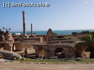 [P15]  -- <small>// FĂRĂ DESCRIERE</small> » foto by Sakiz*
 - 
<span class="allrVoted glyphicon glyphicon-heart hidden" id="av934583"></span>
<a class="m-l-10 hidden" id="sv934583" onclick="voting_Foto_DelVot(,934583,4040)" role="button">șterge vot <span class="glyphicon glyphicon-remove"></span></a>
<a id="v9934583" class=" c-red"  onclick="voting_Foto_SetVot(934583)" role="button"><span class="glyphicon glyphicon-heart-empty"></span> <b>LIKE</b> = Votează poza</a> <img class="hidden"  id="f934583W9" src="/imagini/loader.gif" border="0" /><span class="AjErrMes hidden" id="e934583ErM"></span>