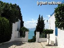 [P01] Golful Tunis vazut din Sidi Bou Said » foto by Darklocks
 - 
<span class="allrVoted glyphicon glyphicon-heart hidden" id="av151103"></span>
<a class="m-l-10 hidden" id="sv151103" onclick="voting_Foto_DelVot(,151103,4041)" role="button">șterge vot <span class="glyphicon glyphicon-remove"></span></a>
<a id="v9151103" class=" c-red"  onclick="voting_Foto_SetVot(151103)" role="button"><span class="glyphicon glyphicon-heart-empty"></span> <b>LIKE</b> = Votează poza</a> <img class="hidden"  id="f151103W9" src="/imagini/loader.gif" border="0" /><span class="AjErrMes hidden" id="e151103ErM"></span>