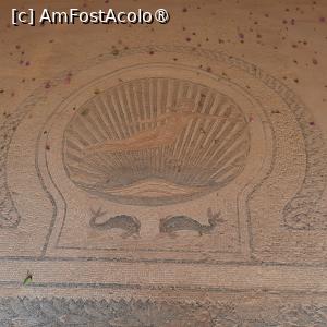 [P64] El Jem, Muzeul Arheologic,  Mozaicul Nașterea lui Venus, detaliu » foto by mprofeanu
 - 
<span class="allrVoted glyphicon glyphicon-heart hidden" id="av1433246"></span>
<a class="m-l-10 hidden" id="sv1433246" onclick="voting_Foto_DelVot(,1433246,4044)" role="button">șterge vot <span class="glyphicon glyphicon-remove"></span></a>
<a id="v91433246" class=" c-red"  onclick="voting_Foto_SetVot(1433246)" role="button"><span class="glyphicon glyphicon-heart-empty"></span> <b>LIKE</b> = Votează poza</a> <img class="hidden"  id="f1433246W9" src="/imagini/loader.gif" border="0" /><span class="AjErrMes hidden" id="e1433246ErM"></span>