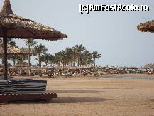 [P01] Coral Sea Holiday Village - plaja » foto by raluca06
 - 
<span class="allrVoted glyphicon glyphicon-heart hidden" id="av100611"></span>
<a class="m-l-10 hidden" id="sv100611" onclick="voting_Foto_DelVot(,100611,4046)" role="button">șterge vot <span class="glyphicon glyphicon-remove"></span></a>
<a id="v9100611" class=" c-red"  onclick="voting_Foto_SetVot(100611)" role="button"><span class="glyphicon glyphicon-heart-empty"></span> <b>LIKE</b> = Votează poza</a> <img class="hidden"  id="f100611W9" src="/imagini/loader.gif" border="0" /><span class="AjErrMes hidden" id="e100611ErM"></span>